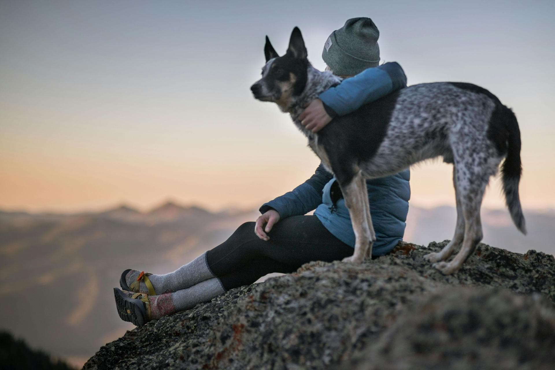Annual Vaccination With Kennel Cough Prices in Bristol